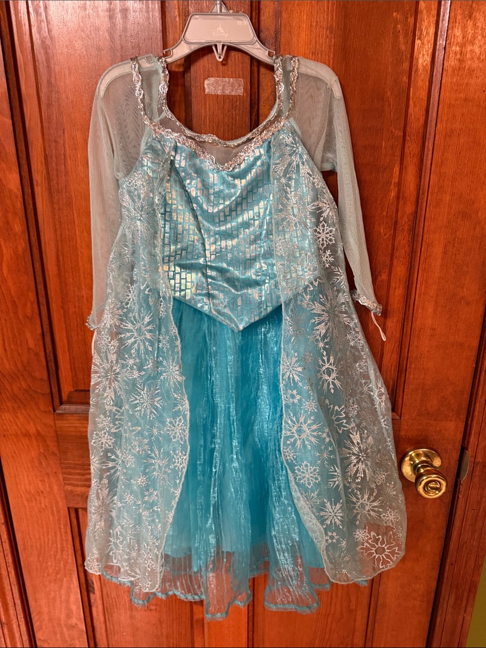 Authentic Elsa Dress